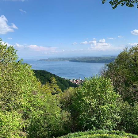 Gasthaus Traube, Ludwigshafen, Bodensee, Seenah Gelegen Bodman-Ludwigshafen Dış mekan fotoğraf
