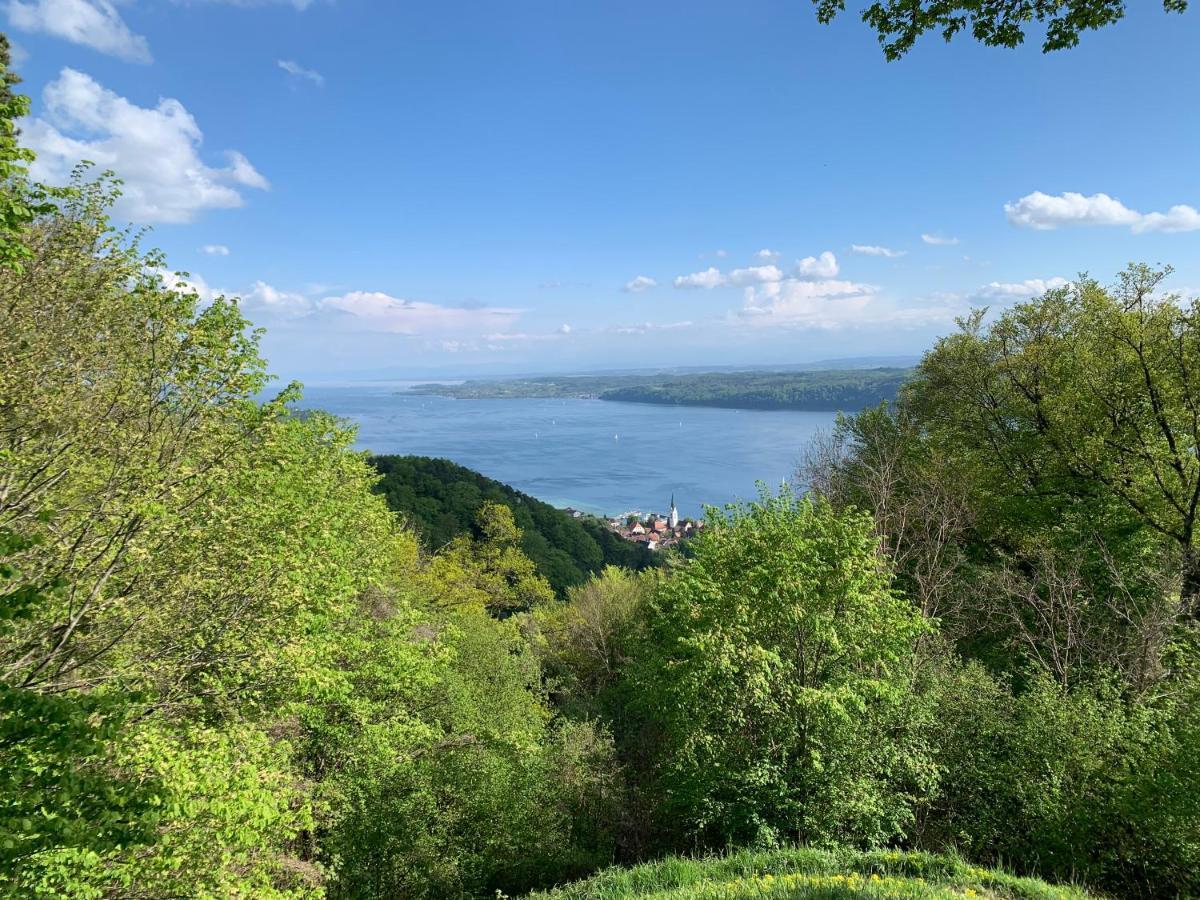 Gasthaus Traube, Ludwigshafen, Bodensee, Seenah Gelegen Bodman-Ludwigshafen Dış mekan fotoğraf